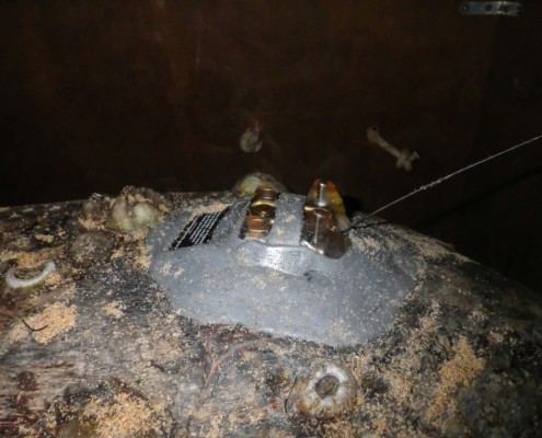 20160914_argos_ei_ponte_canot_gosier_lamy-5