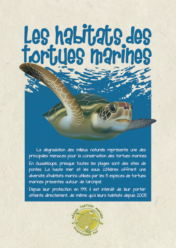 brochure habitat des tortues marines