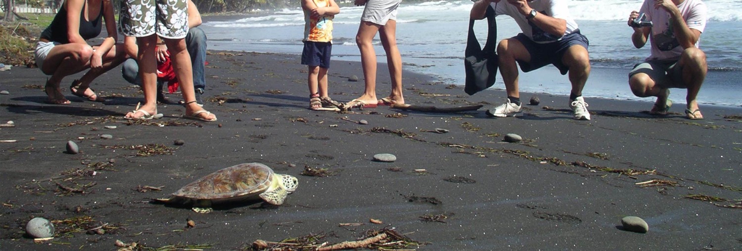 Charte de bonne conduite
