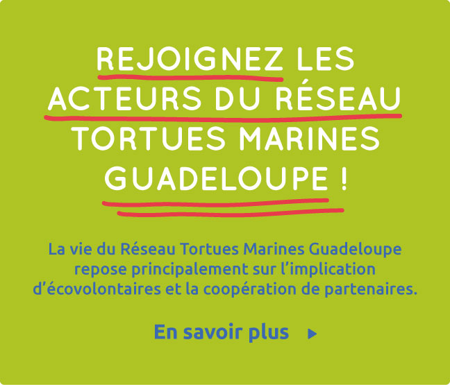 Rejoindre le réseau