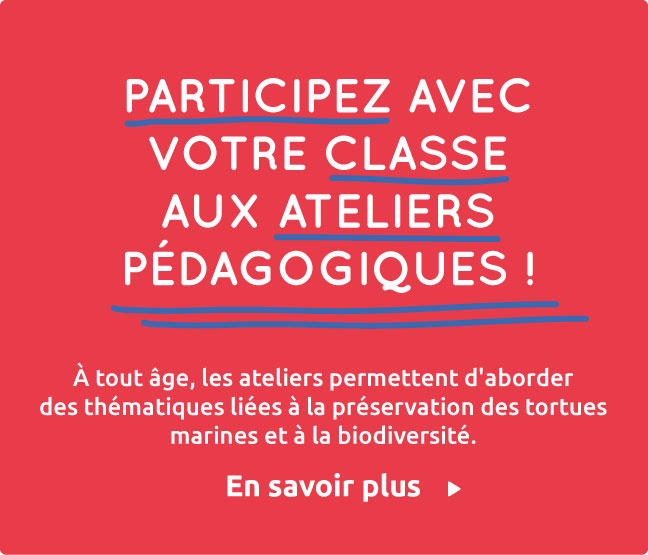 Actions de sensibilisation