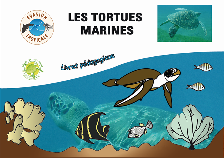 livret pedagogique AET