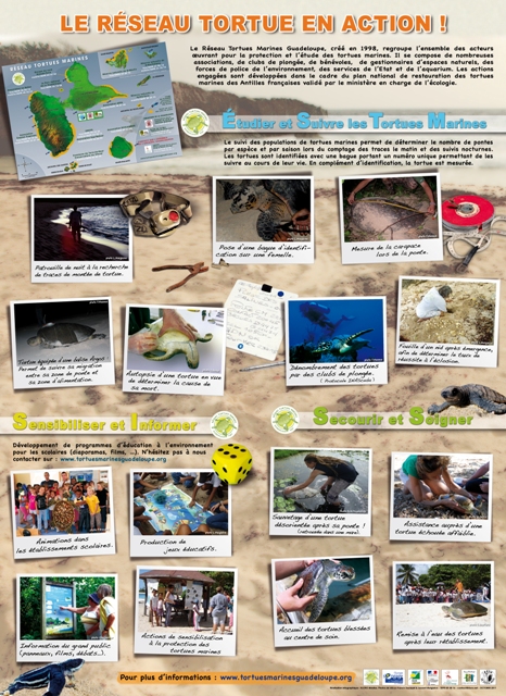 panneau actions du reseau