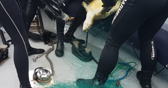 © Gendarmerie de Guadeloupe