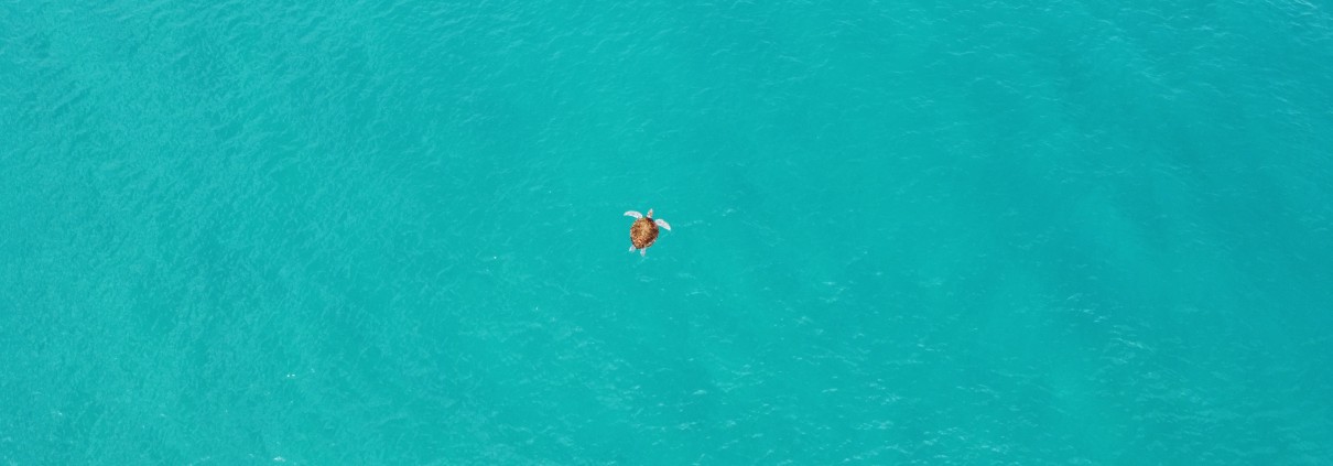 © ONF Guadeloupe - Olivier JEAN-CHARLES