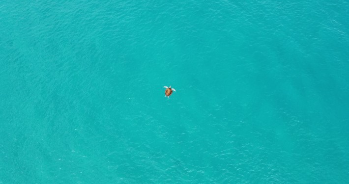 © ONF Guadeloupe - Olivier JEAN-CHARLES