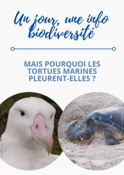 1J1IB - RTMG 5 - larme TM