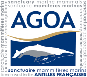 agoa